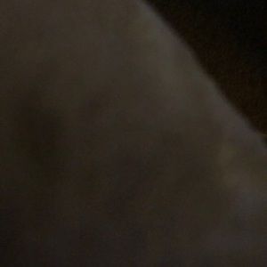 Meet your Posher, Misty